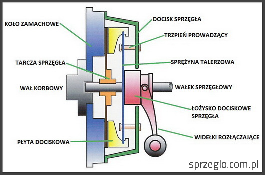 Budowa sprzęgła